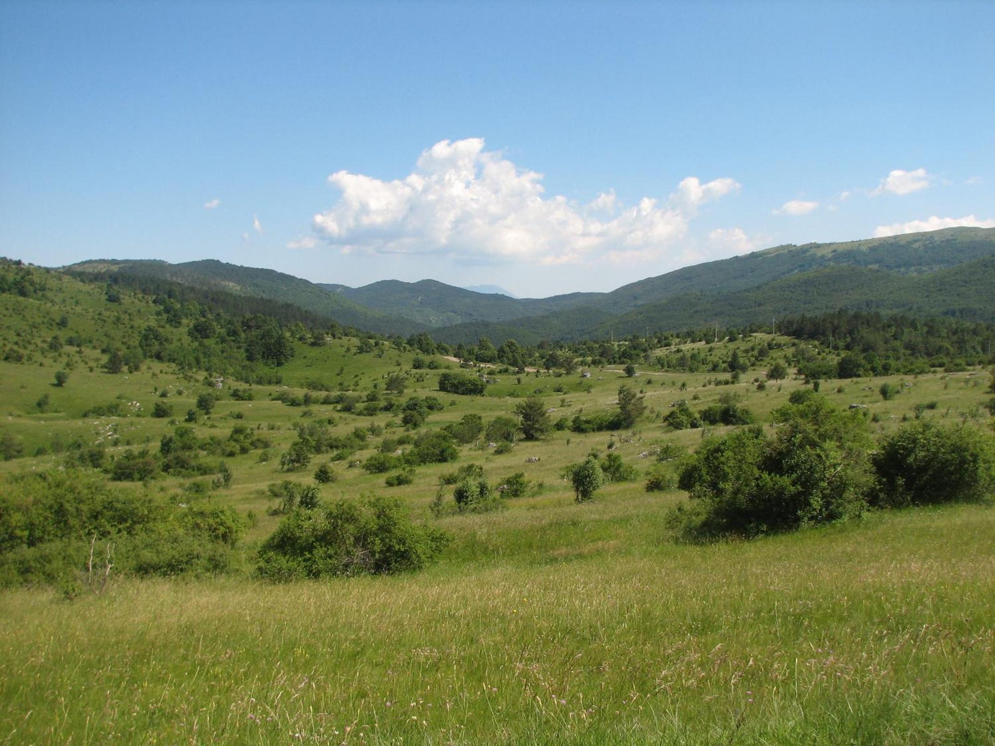 Guest House Pod Slavnikom Podgorje  Zewnętrze zdjęcie